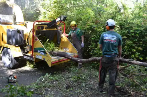 tree services Carlsbad